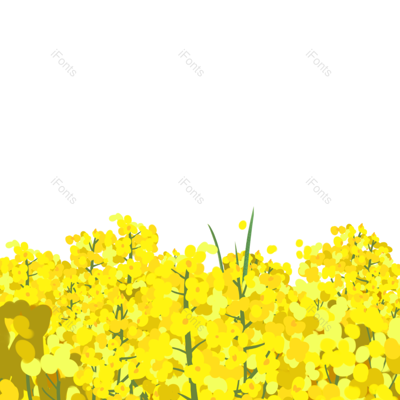 插画图片,素材元素,花朵PNG,鲜花免抠素材